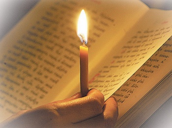 �������������� ���� 28.11.14-06.01.2015